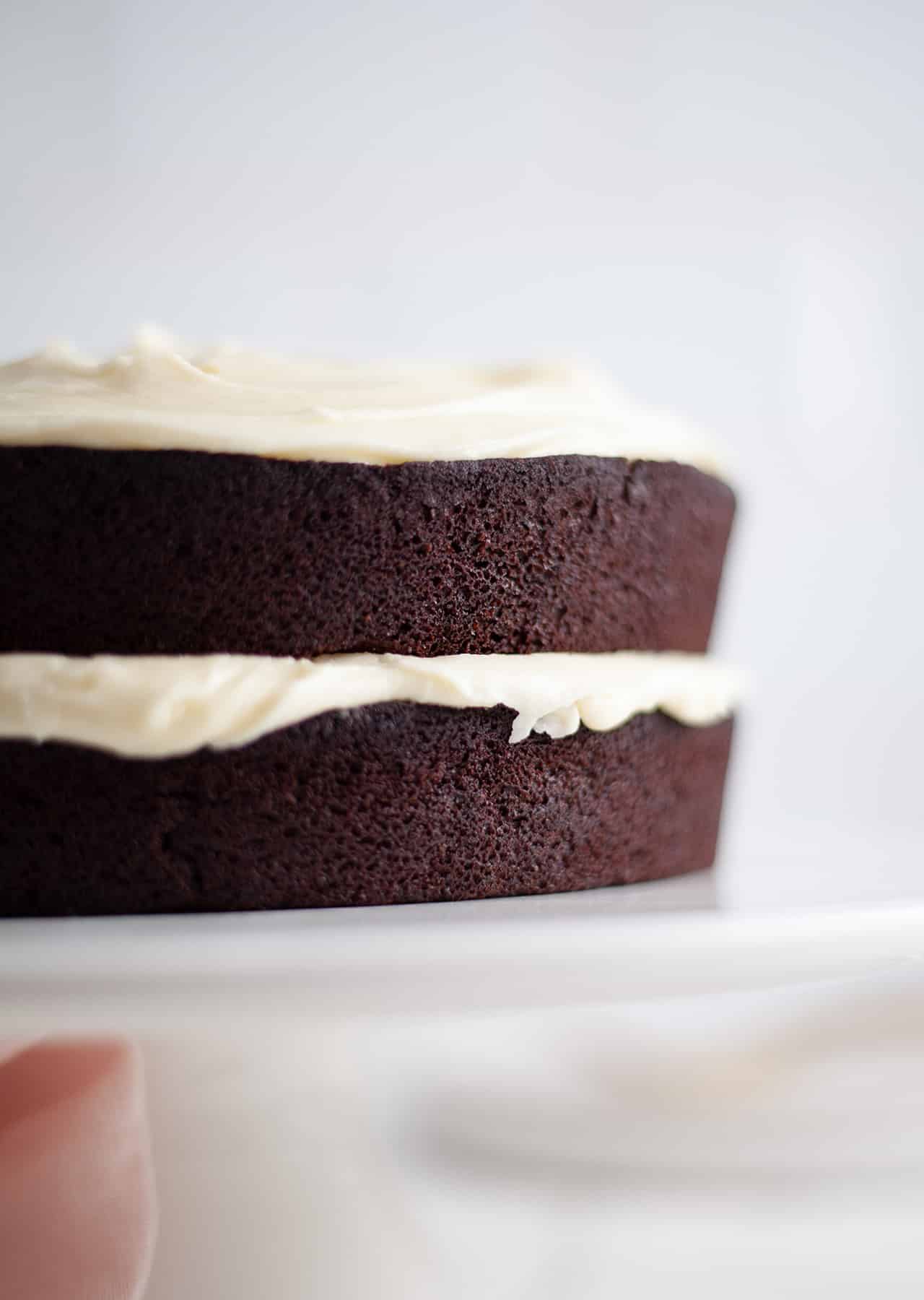 Vegan Chocolate Guinness Cake