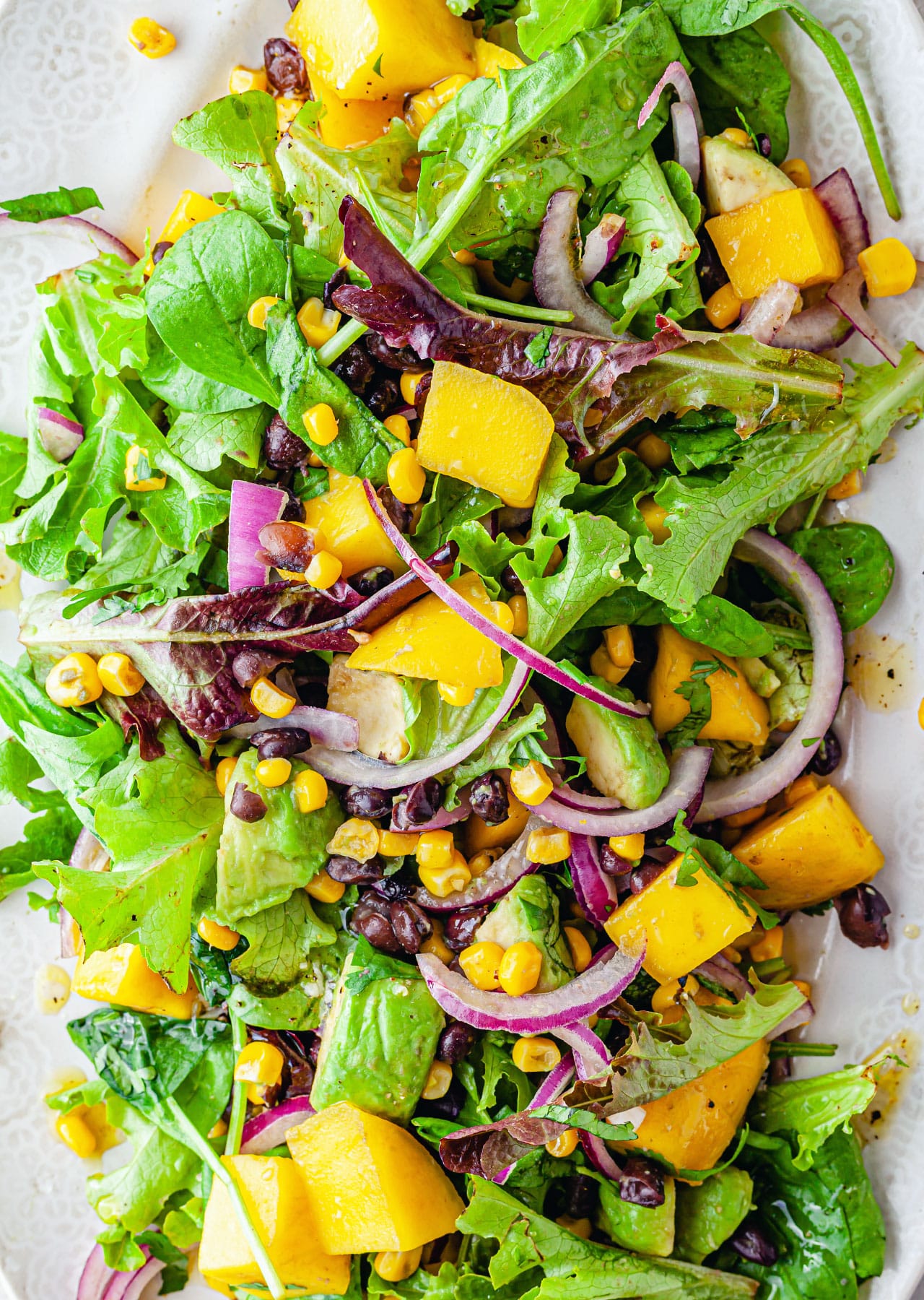 Vegan Mango Avocado Salad Recipe