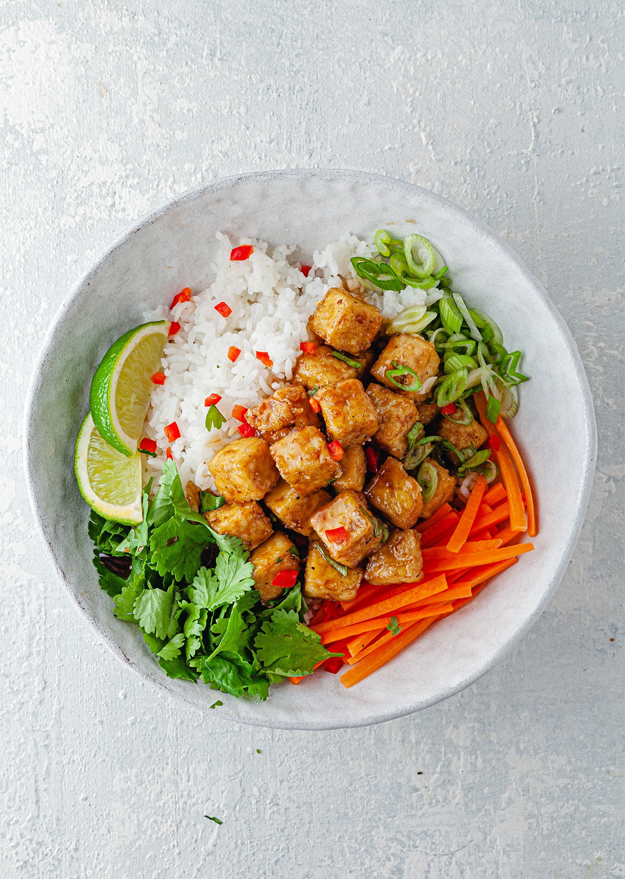 Vegan Teriyaki Tofu Recipe