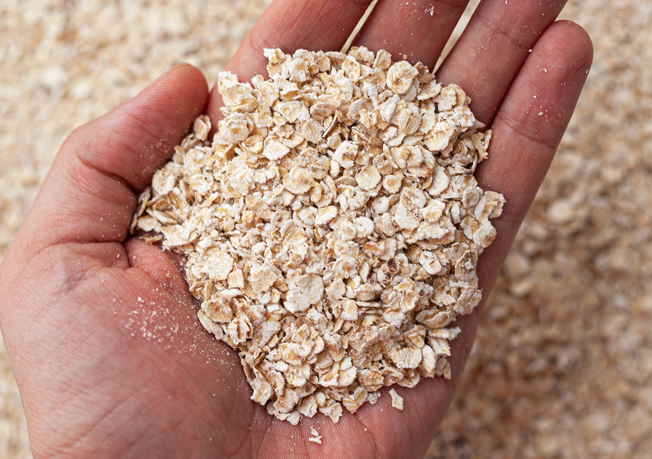 oats vegn protein