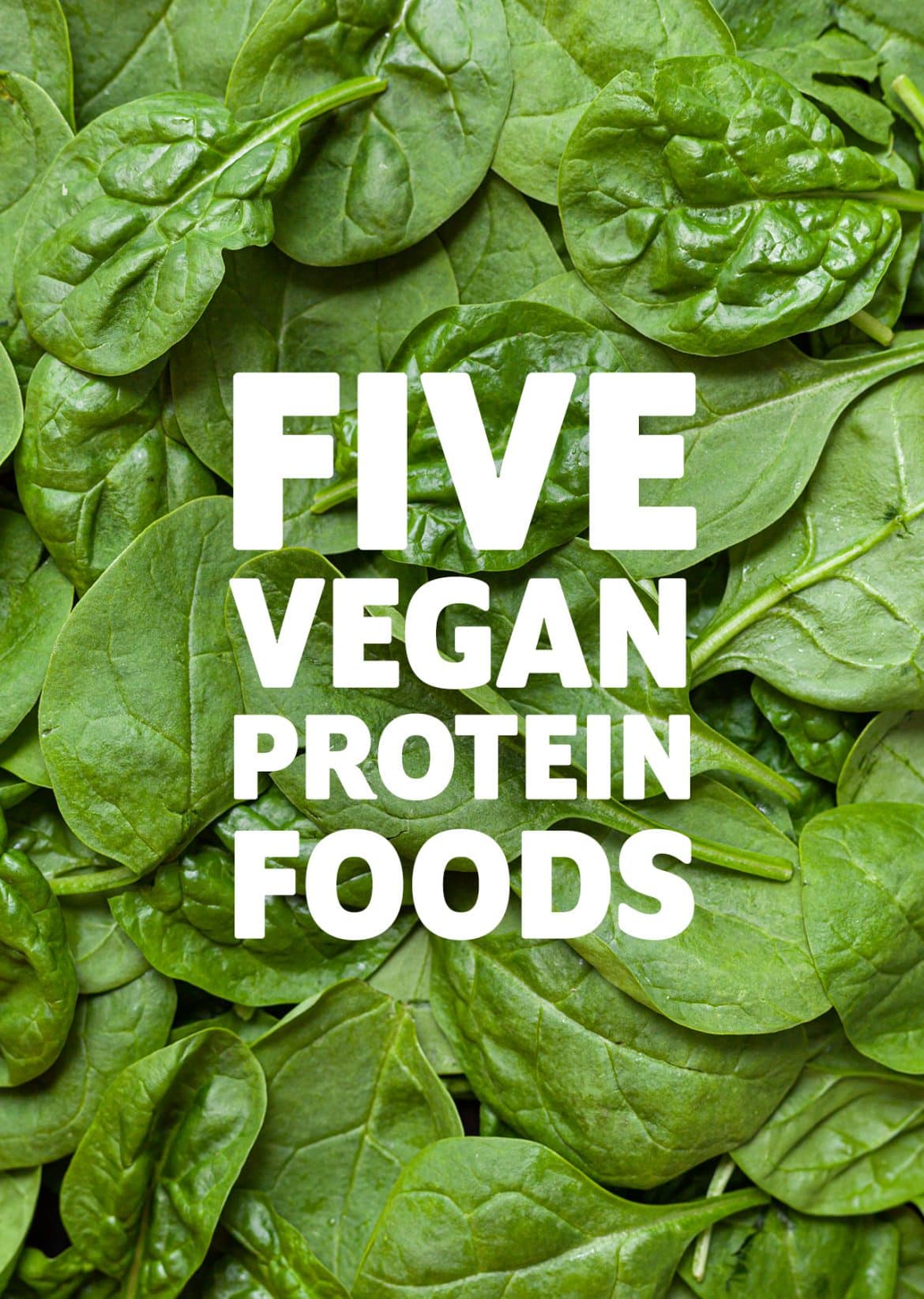 5 vegan protein foods
