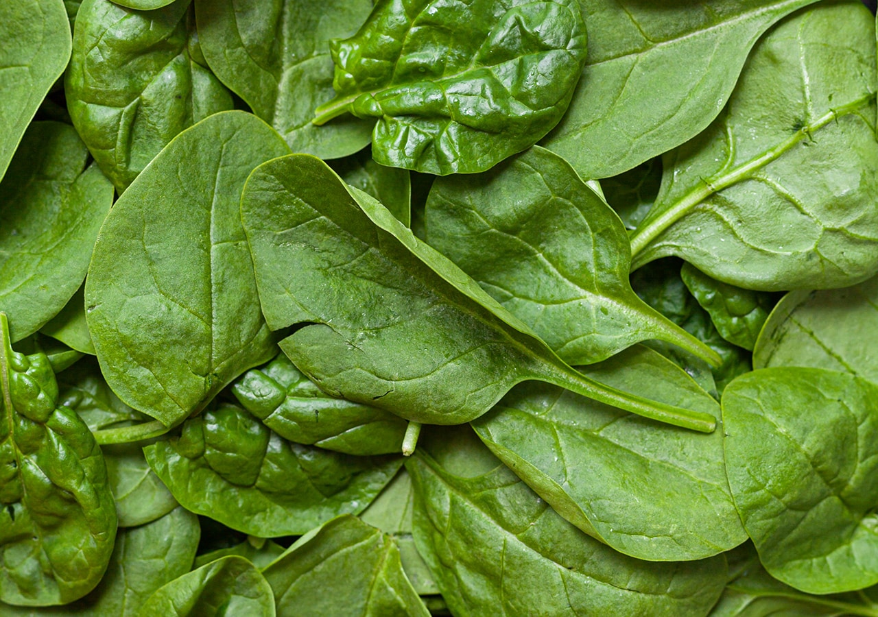 spinach vegan protein