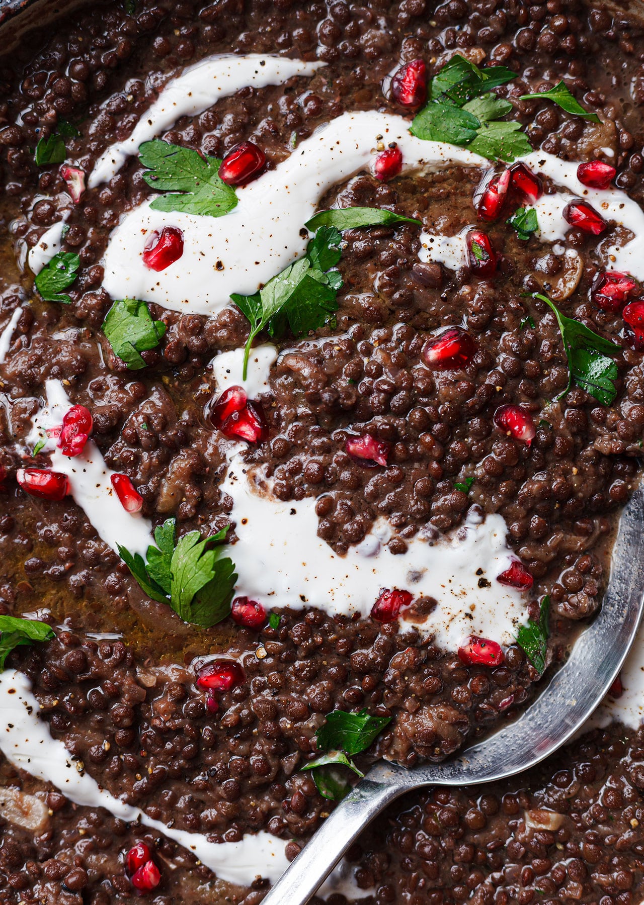 Rummaniyeh Aubergine + Lentil Stew Palestine Vegan Recipe