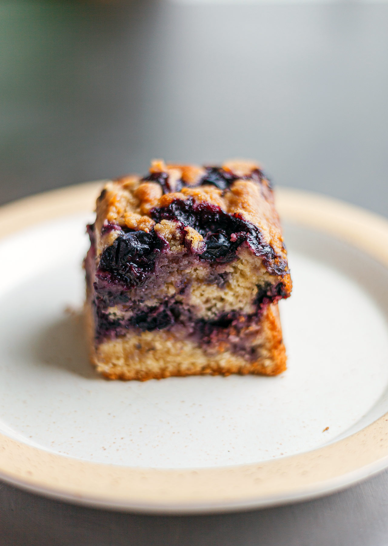 Polish Blueberry Spelt Crumb Cake Plant Based Vegan Recipe